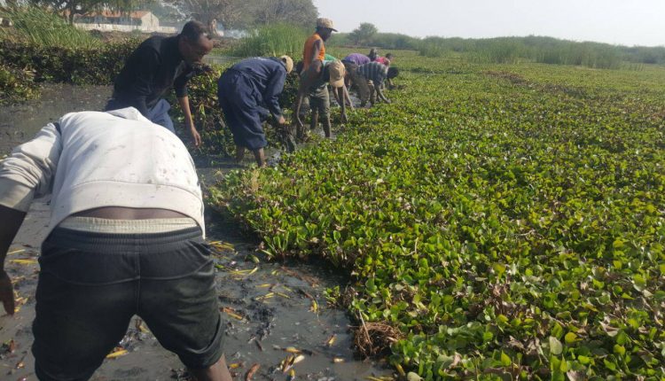 277551951_1470246646723730_6002536971518238170_n