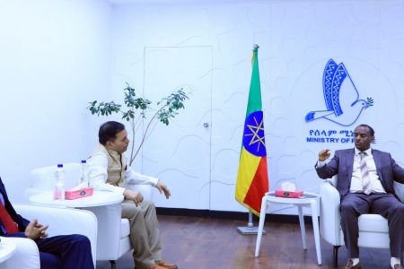 Itiyoophiyaan nageenya naannawaa mirkaneessuuf hojiilee damee hedduu hojjechaa jirti jedhame