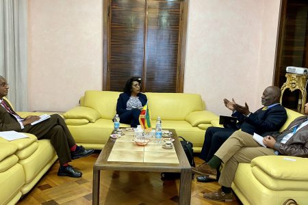 Amb. Demitu, WFP Ethiopia CD review collaboration on fund mobilization, informing partners