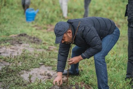 Ethiopia achieves campaign of planting 500 Million Trees A Day Nationwide