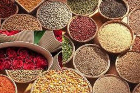 Over $850mln obtained from export of grains, cereals: MoTRI