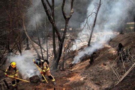 Death Toll From Forest Fires in Chile Rises to 112 – Deputy Interior Minister