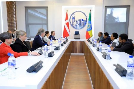 Ethiopian MPs, Danish Foreign Policy Committee members discuss cooperation