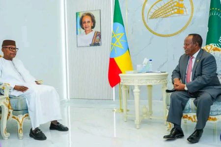 FM Taye meets with AU High-Level Panel on Sudan