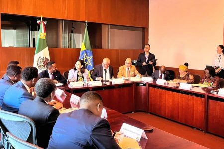Ethiopian Diaspora Service, Institute for Mexicans Abroad hold experience sharing on diaspora participation