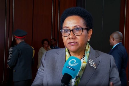 Ethiopia, Tanzania collaborating in challenging multifaceted problems in peace, security