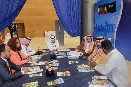 Saudi investors eye Ethiopian tourism opportunities