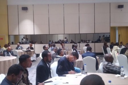 Media, general public urged to intensify support for swift completion of GERD 