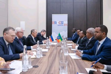 Ethiopia, Russia discuss cooperation in the UNSC and BRICS+