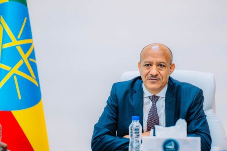 Nat’l Digital Transformation Council reviews progress of ‘5 million Ethiopian Coders’ initiative