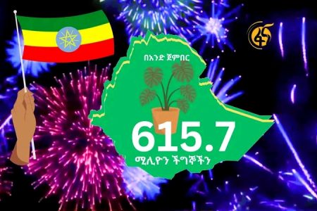 Record breaking 615.7M saplings planted in Ethiopia in 12 hours – Premier Abiy