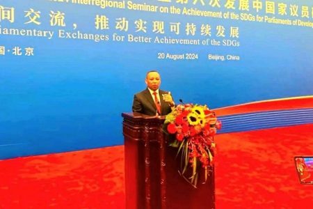 Ethiopia shares SDGs success stories at 2024 Interregional Seminar in China