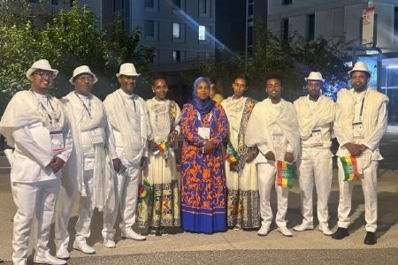 Ethiopian youths are showcasing their talents at the 47th world skills competition in Lyon