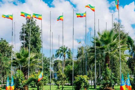 Ethiopians celebrate National Flag Day