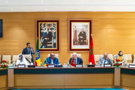 Ethiopia, Morocco commit to enhancing cultural, historical ties