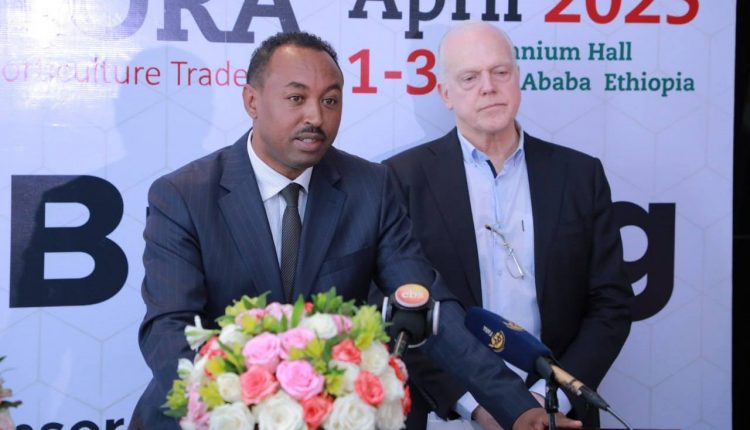 485724210_666724832405678_5495912511477306852_n