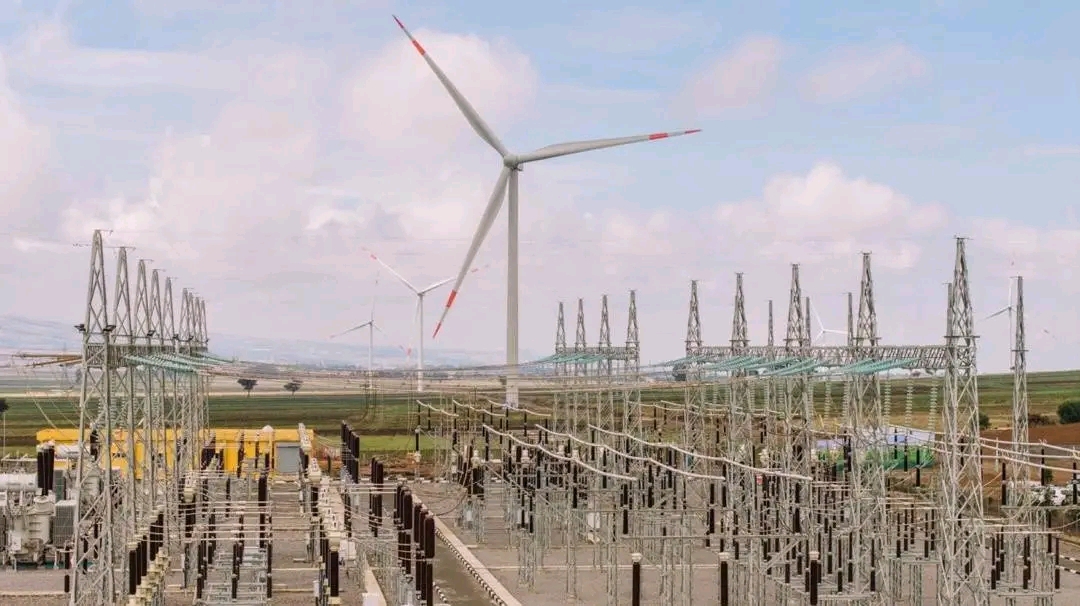 PM Abiy Inaugurates Assela Wind Farm, Boosting Ethiopia’s Renewable Energy Capacity