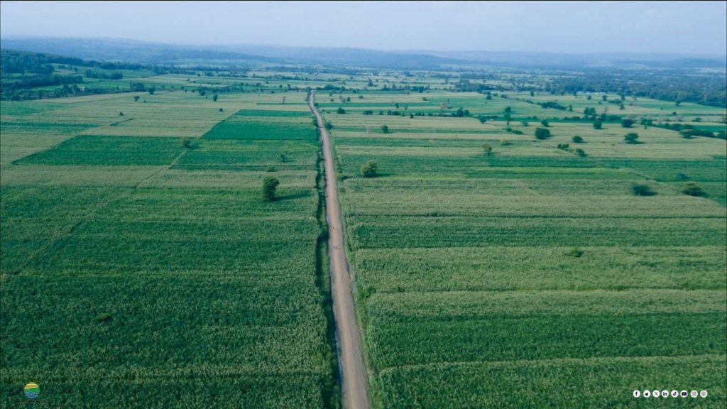 Ethiopia’s Fields Are Becoming a Laboratory for Africa’s Next Agricultural Revolution