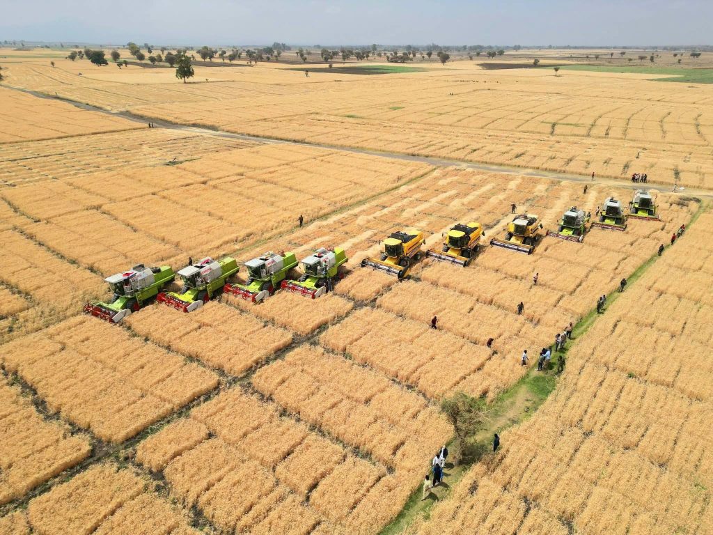 Ethiopia’s Wheat Revolution Delivers a Powerful Message: Africa Can Feed Itself — President Taye