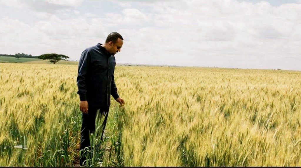 Ethiopian PM Abiy Ahmed Helping Transform the Mentality of Africa, Kenyan Visitor Says