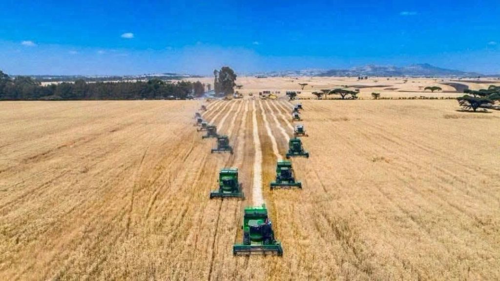 Ethiopia Through Nigerian Eyes: From Wheat Fields to a Wider African Lesson