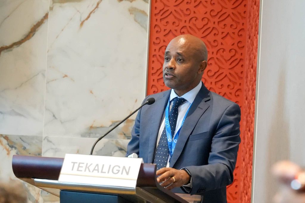 Ethiopia Advocates More Responsive Global Financial Architecture for Post-Debt Recovery
