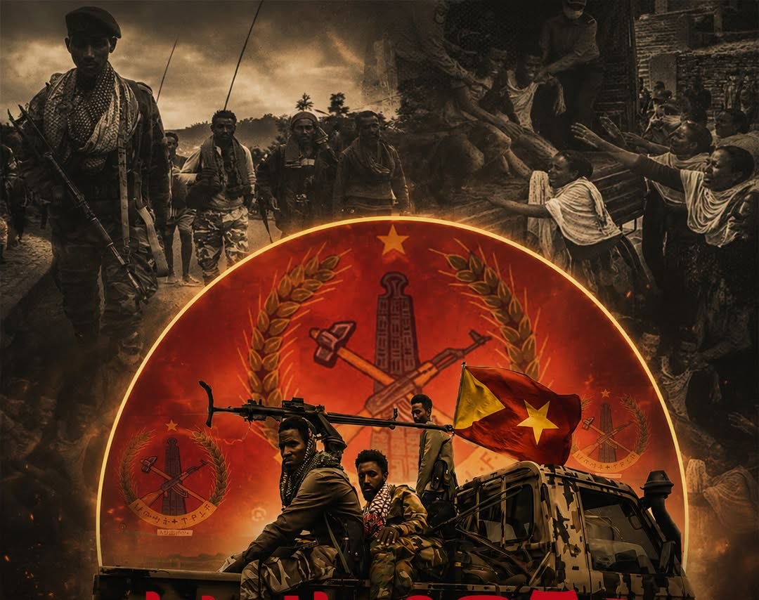 External Adversaries Use Illegal TPLF Group as Proxy to Weaken Ethiopia — Former Interim Regional Administrator